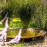aussen02, © Hotel Garni Steinfeld Garten mit kleinem Brunnen und Lavendel im Vordergrund.