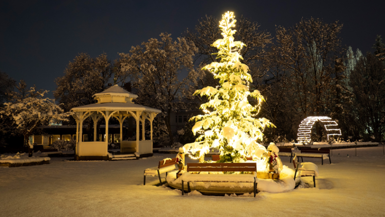 Advent Wiener Neustadt, © Busy Shutters Advent Wiener Neustadt, © Busy Shutters