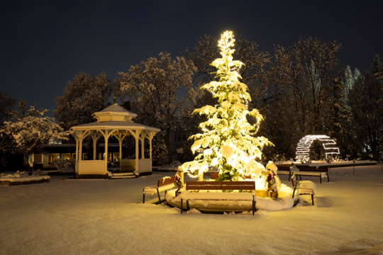 Advent Wiener Neustadt, © busy Advent Wiener Neustadt, © busy