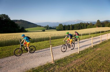 Mountainbiken in den Wiener Alpen, © Franz Zwickl