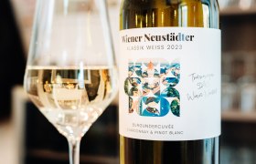 Wiener Neustadt Klassik weiß - ein Cuvée der Spaß macht!, © Busyshutters