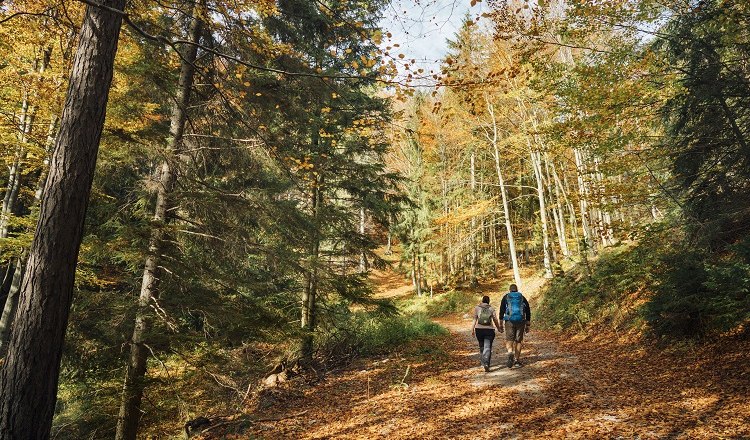 Den goldenen Herbst in vollen Zügen erwandern., © Red Bull Mediahouse