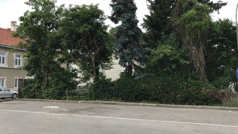 Leerer Parkplatz mit B&auml;umen und Str&auml;uchern im Hintergrund.