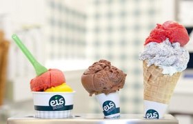 Eisläden in Wiener Neustadt, © Eis Greissler