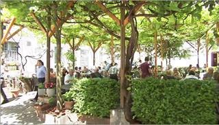 Ein belebter Schanigarten mit vielen Menschen unter einem grünen Blätterdach.