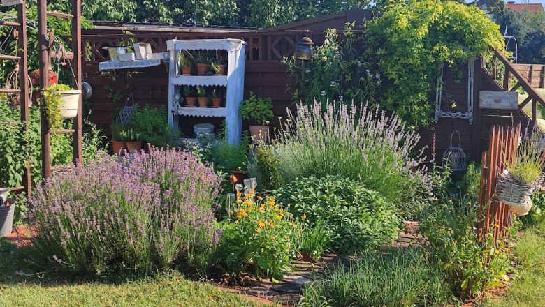 Ein üppiger Kräutergarten mit Lavendel, Ringelblumen und verschiedenen Kräutern vor einem Holzzaun.