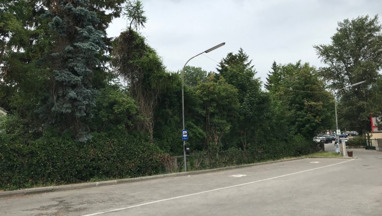 Parkplatz mit B&auml;umen und Laternen, bew&ouml;lkter Himmel.