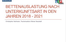 Bettenauslastung Wiener Neustadt