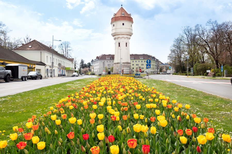 Die blühende Stadt, © Michael Weller