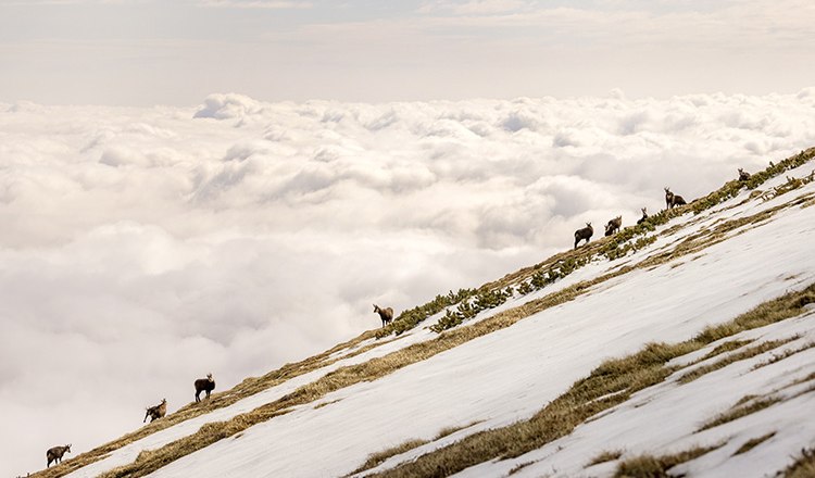 Über den Wolken, © Bernhard Schubert