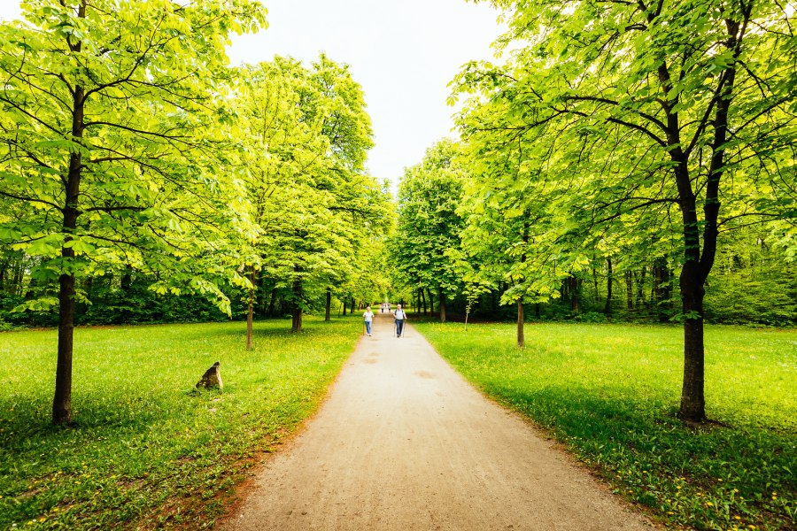 Park mit Nordic Walking Pärchen.