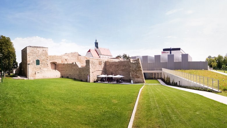 Stadtpark Wr.Neustadt Kasematten Blumenwiese 1c _c_Michael Weller, &copy; Michael Weller