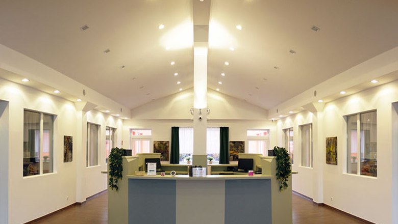 Modern reception office with desk and plants.