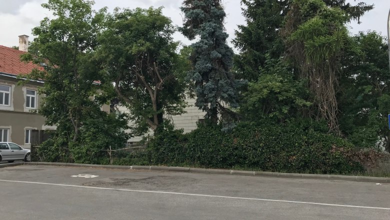Leerer Parkplatz mit B&auml;umen und einem Geb&auml;ude im Hintergrund.