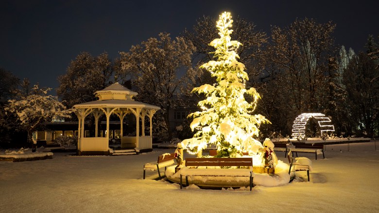 Verschneiter Baum und Pavillon im Stadtpark