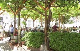 Ein belebter Schanigarten mit vielen Menschen unter einem grünen Blätterdach.