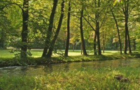 Ein ruhiger Bach fließt durch einen grünen Wald im Akademiepark Wiener Neustadt.