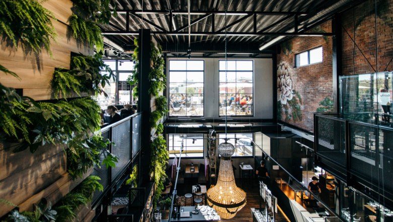 Innenansicht eines modernen Cafés mit Pflanzenwänden und großen Fenstern.