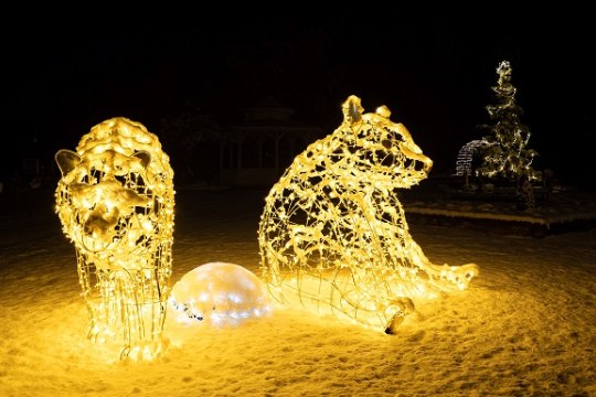 Die Bären im Stadtpark erstrahlen, © Michael Weller