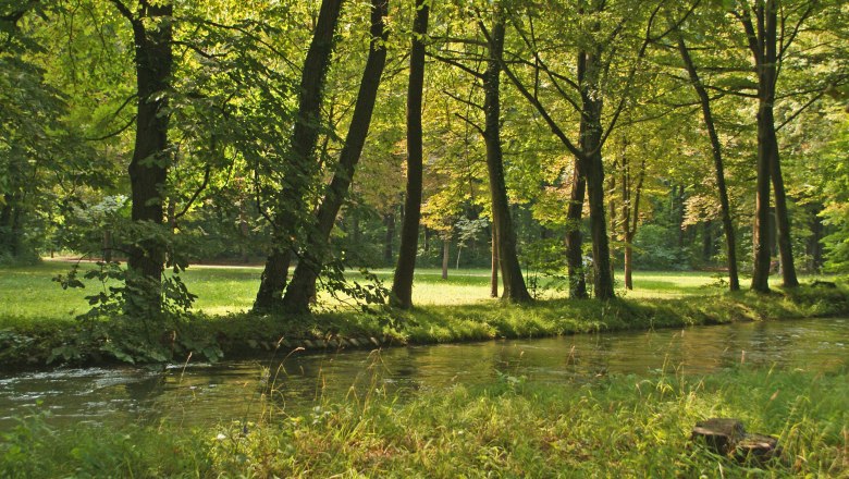 A quiet stream flows through a green forest in the Wiener Neustadt Academy Park.
