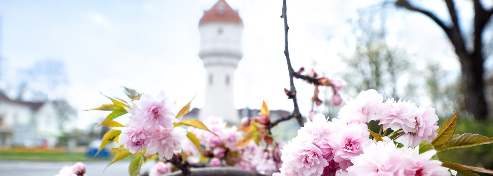 Die Parks zeigen Farbe, © Michael Weller