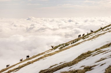 Über den Wolken, © Bernhard Schubert